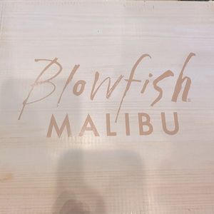 Blowfiish Malibu Low Boot, 11